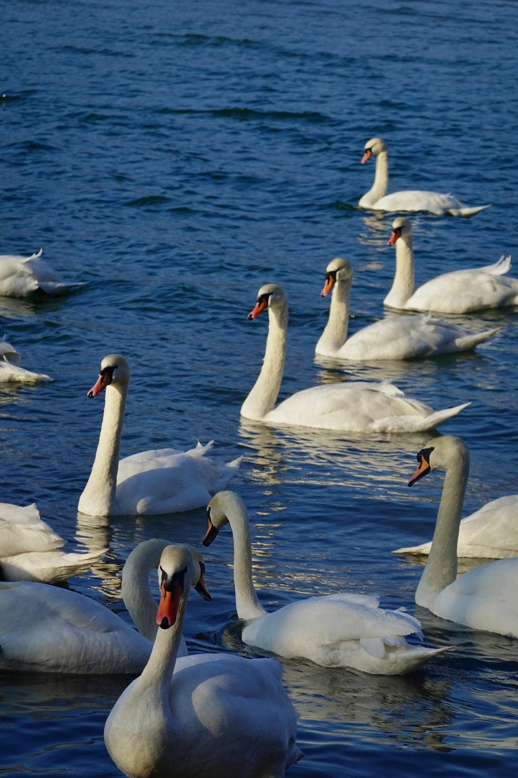 WhatsApp Image 2026-03-02 at 15.26.31(1)