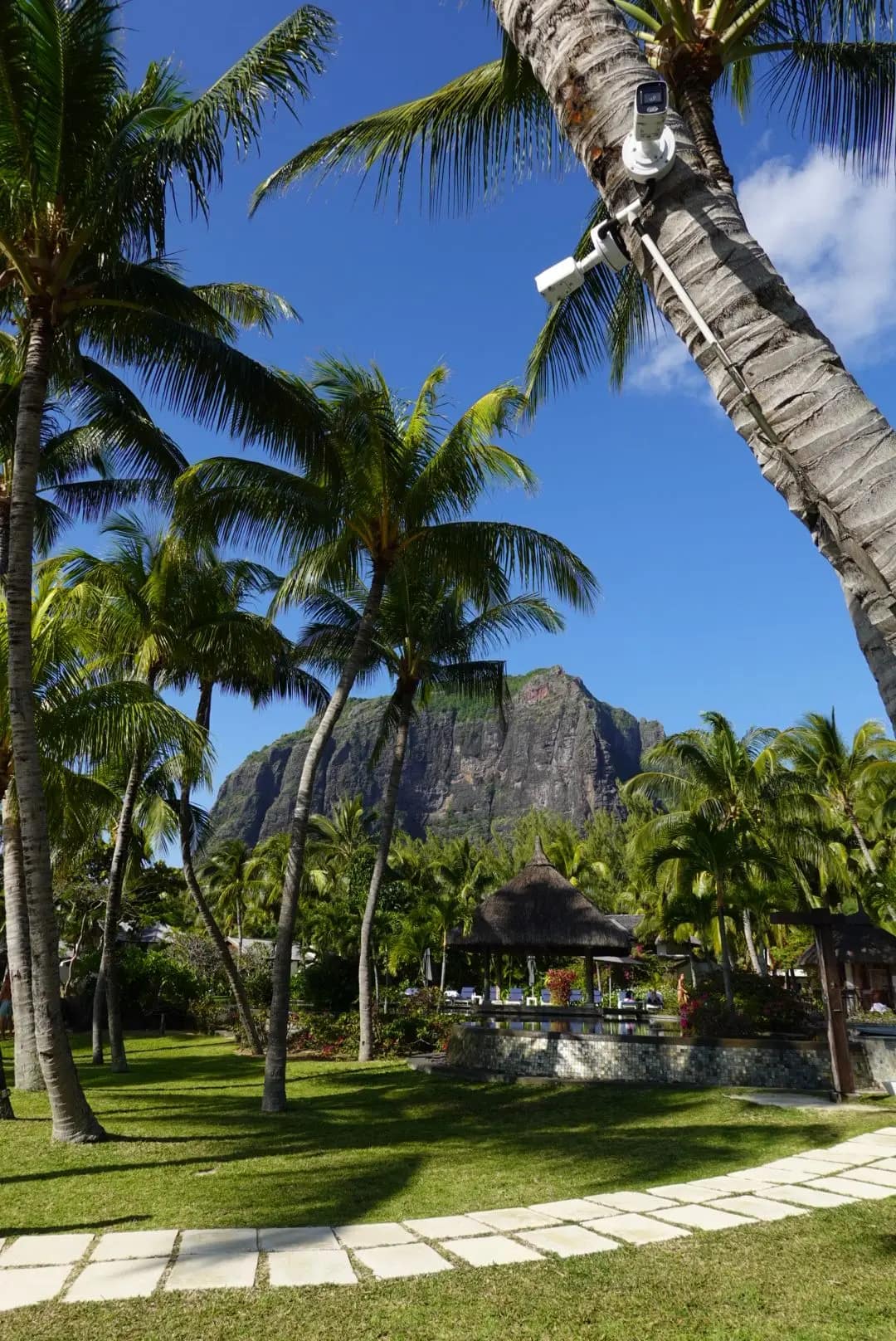 WhatsApp Image 2026-01-15 at 13.23.33 (1)