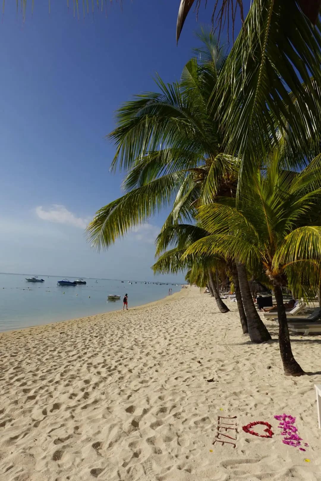 WhatsApp Image 2026-01-15 at 13.23.33 (2)