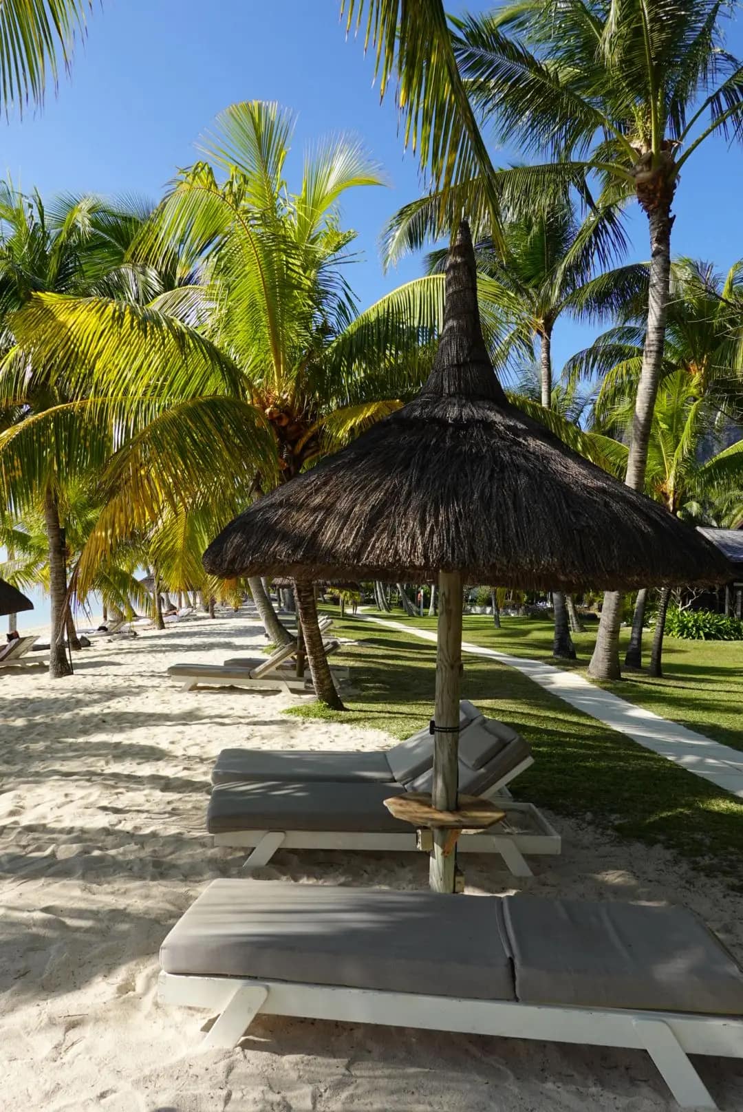 WhatsApp Image 2026-01-15 at 13.23.33 (3)