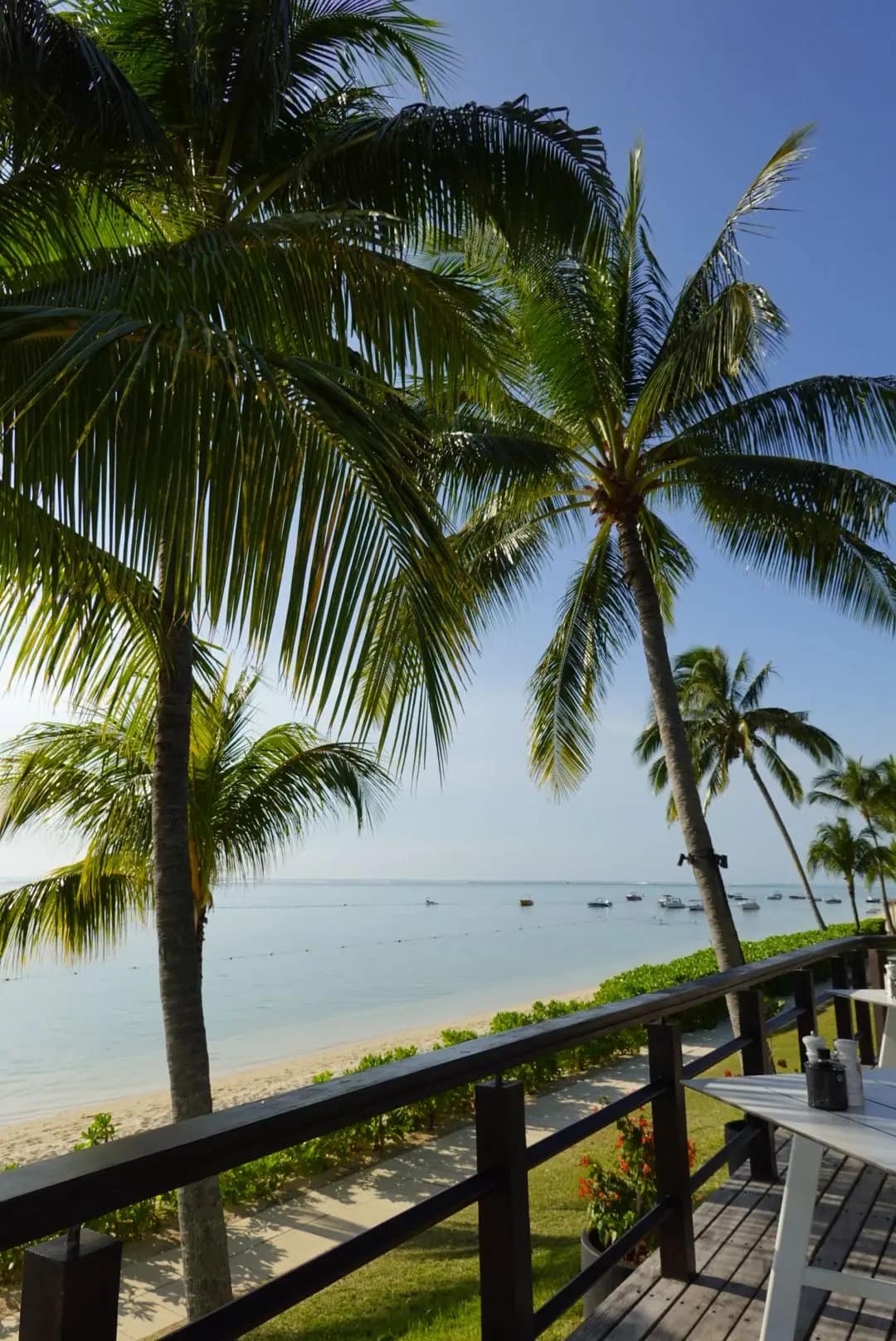 WhatsApp Image 2026-01-15 at 13.23.33 (4)