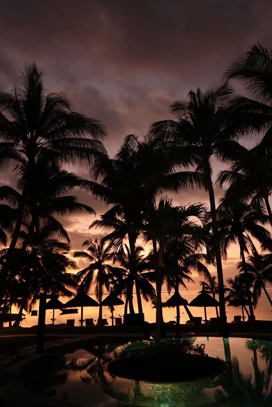 WhatsApp Image 2026-01-15 at 13.23.33 (5)