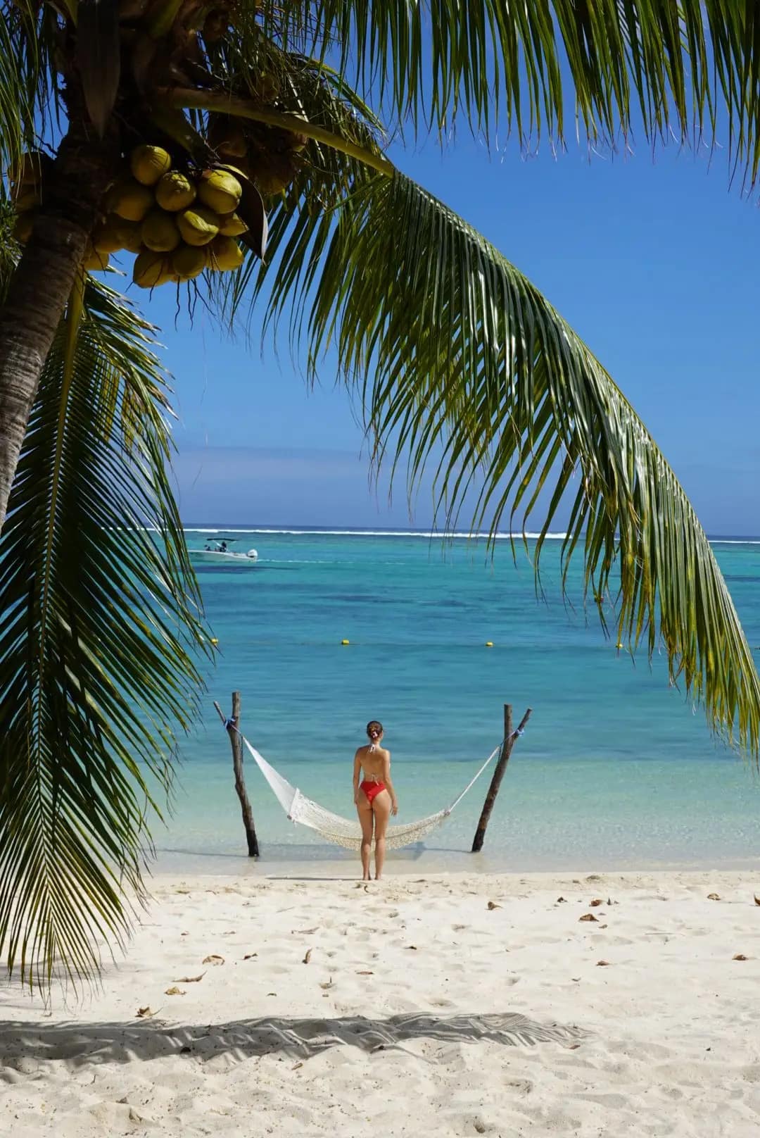 WhatsApp Image 2026-01-15 at 13.23.33 (8)