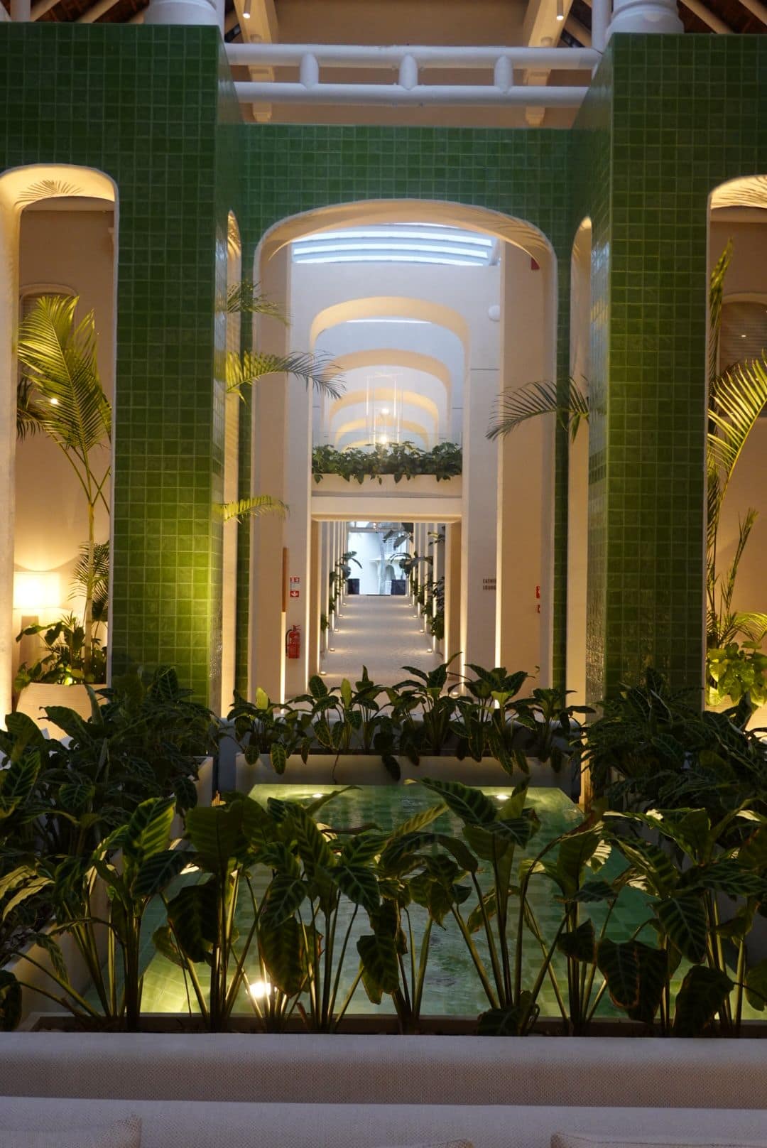 WhatsApp Image 2026-01-15 at 13.48.56 (2)