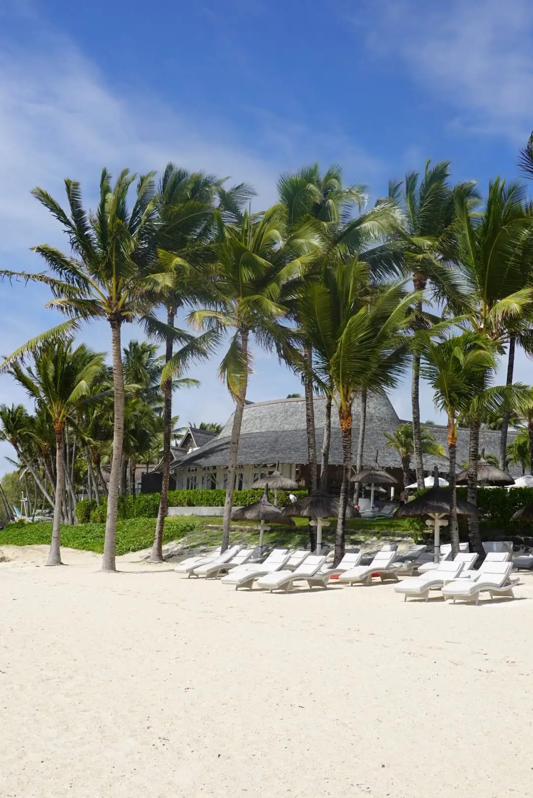 WhatsApp Image 2026-01-15 at 13.48.56 (3)