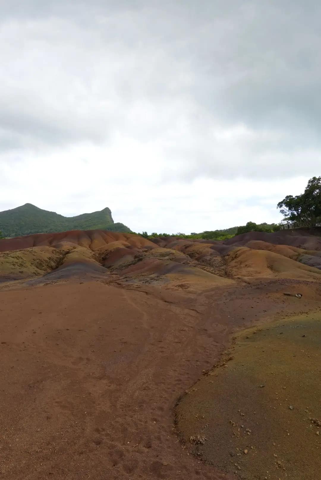 WhatsApp Image 2026-01-15 at 15.01.13 (1)