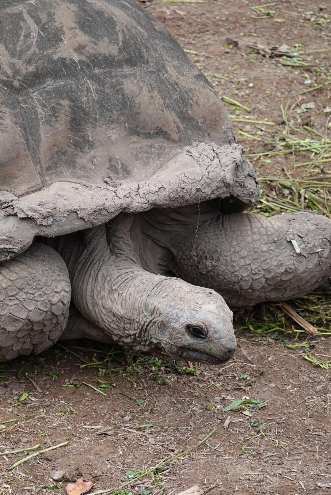 WhatsApp Image 2026-01-15 at 15.01.13 (2)