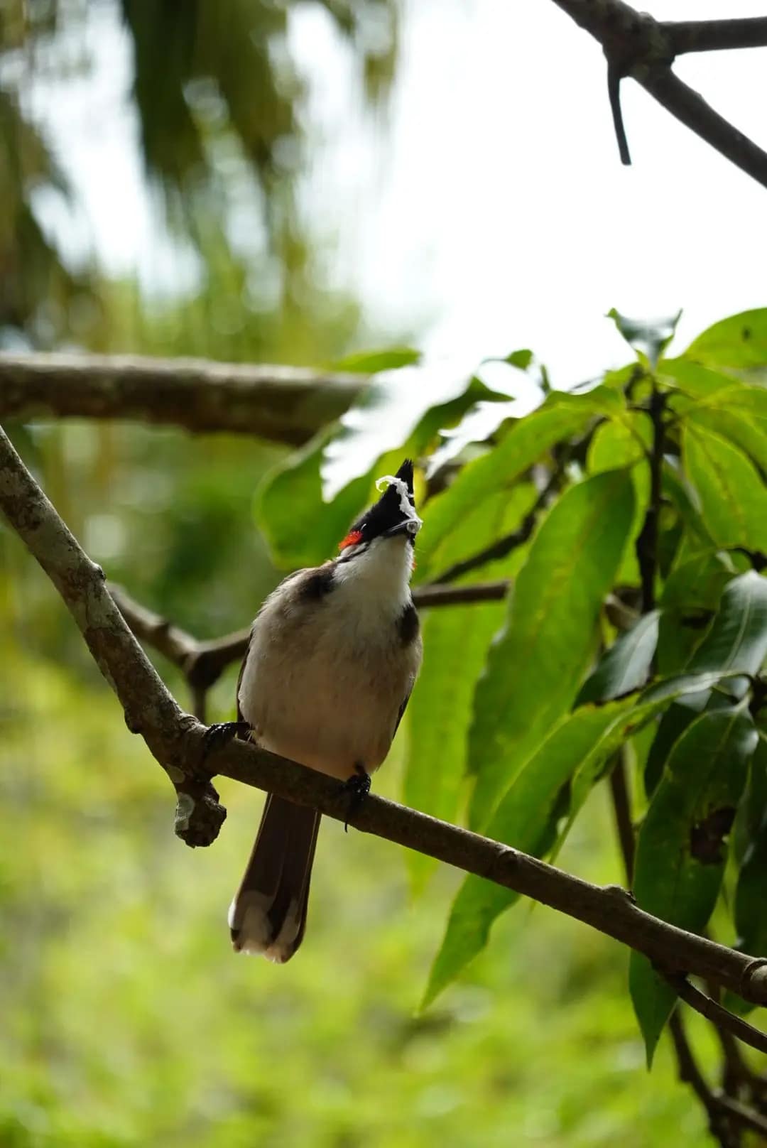 WhatsApp Image 2026-01-15 at 15.01.13 (3)