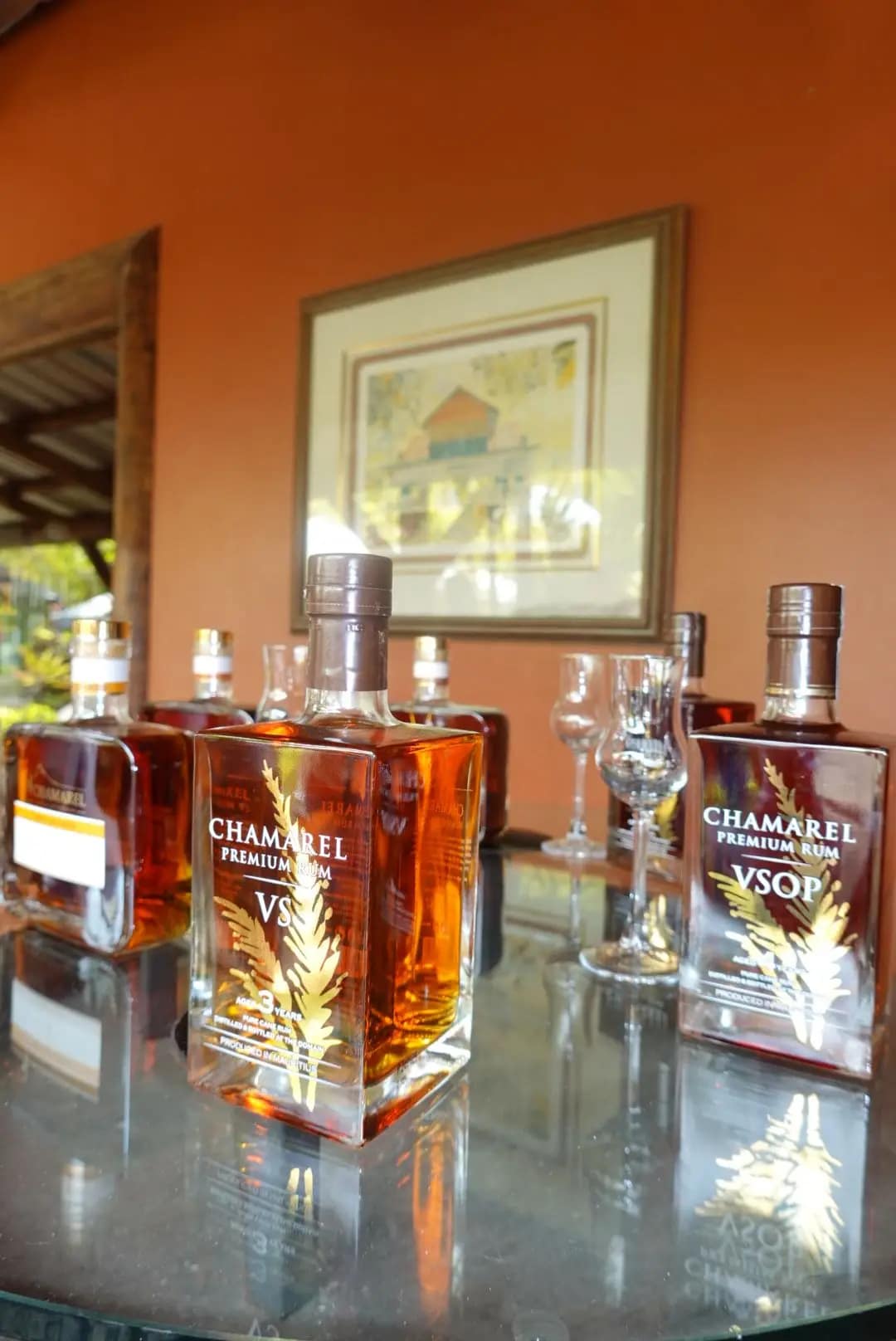 WhatsApp Image 2026-01-15 at 18.58.24 (2)