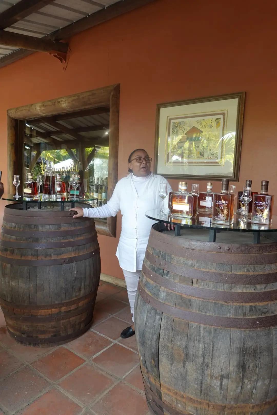 WhatsApp Image 2026-01-15 at 18.58.24 (3)