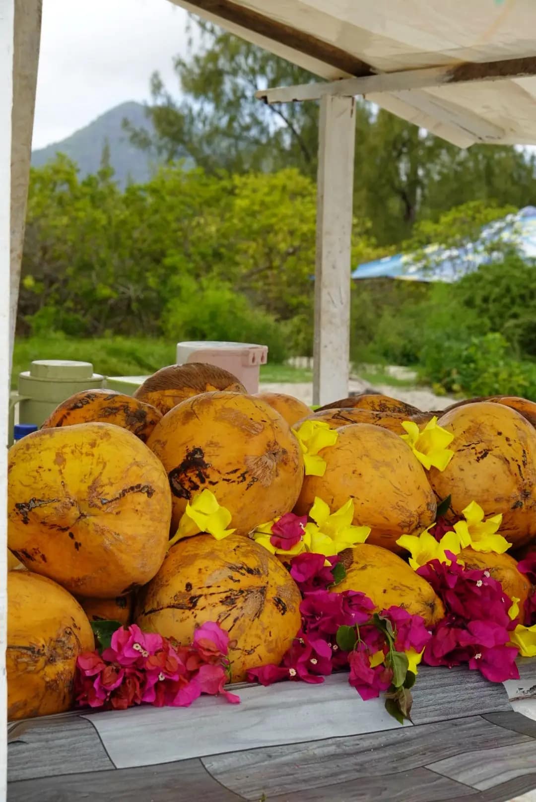 WhatsApp Image 2026-01-15 at 19.47.34 (1)