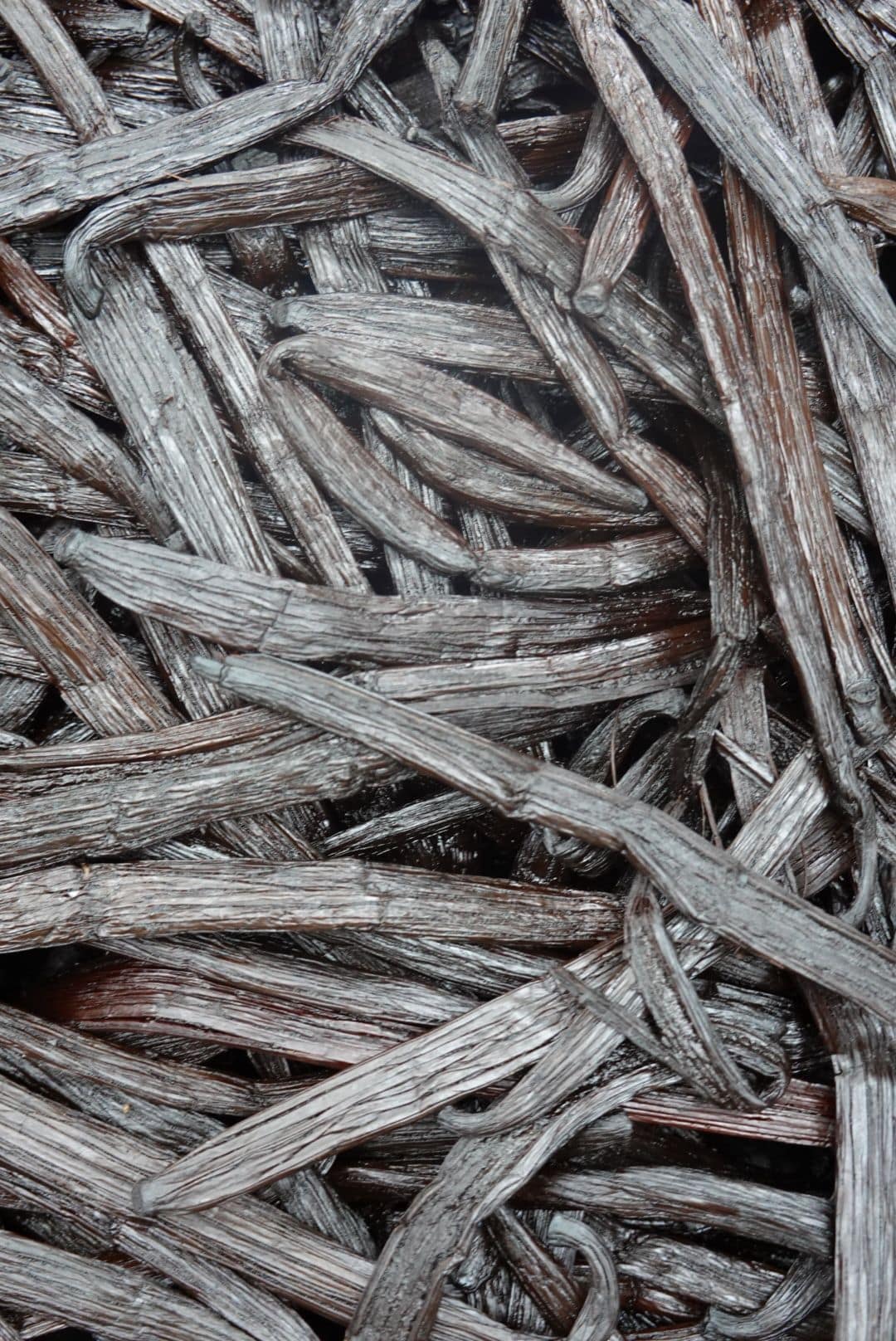 WhatsApp Image 2026-01-17 at 12.38.10 (2)