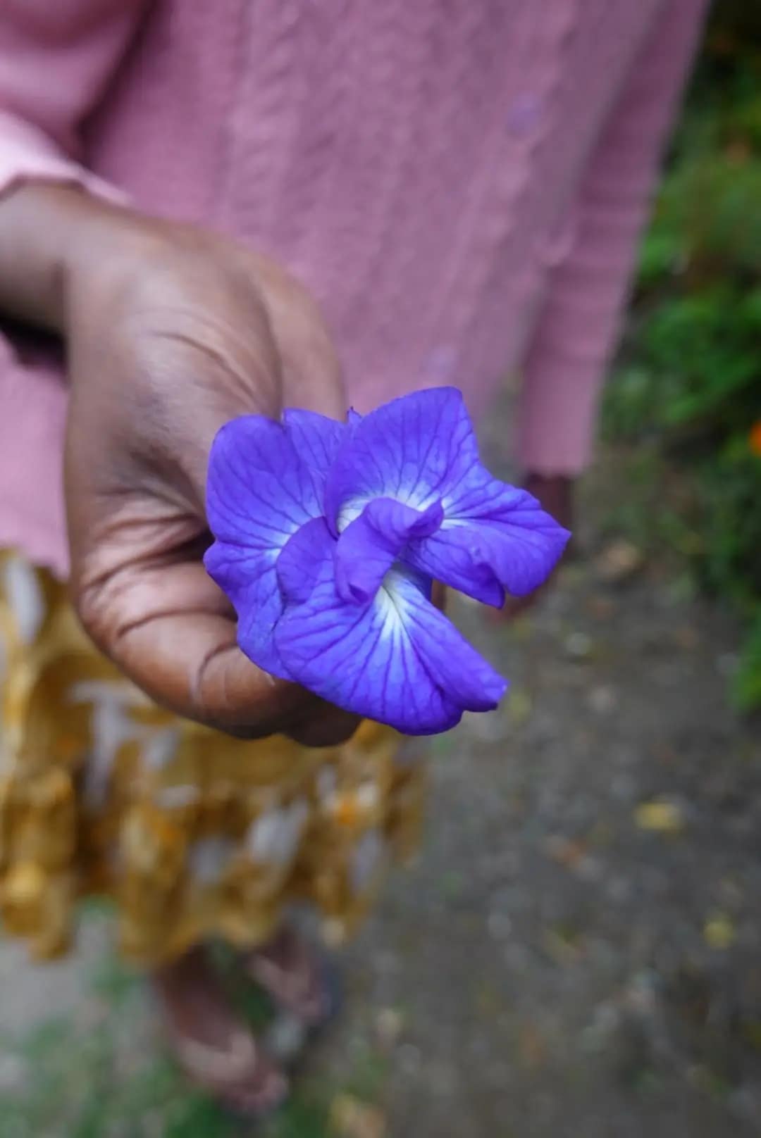 WhatsApp Image 2026-01-17 at 12.38.10 (6)