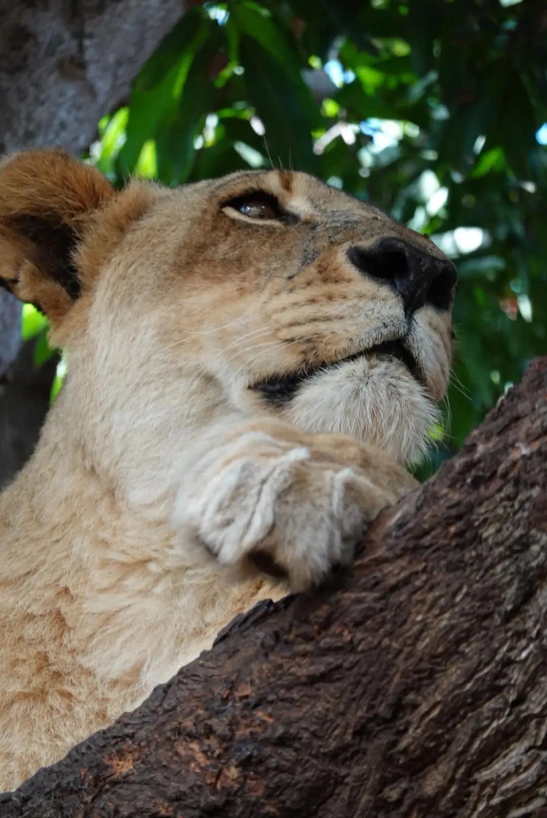 WhatsApp Image 2026-01-17 at 12.50.13 (3)