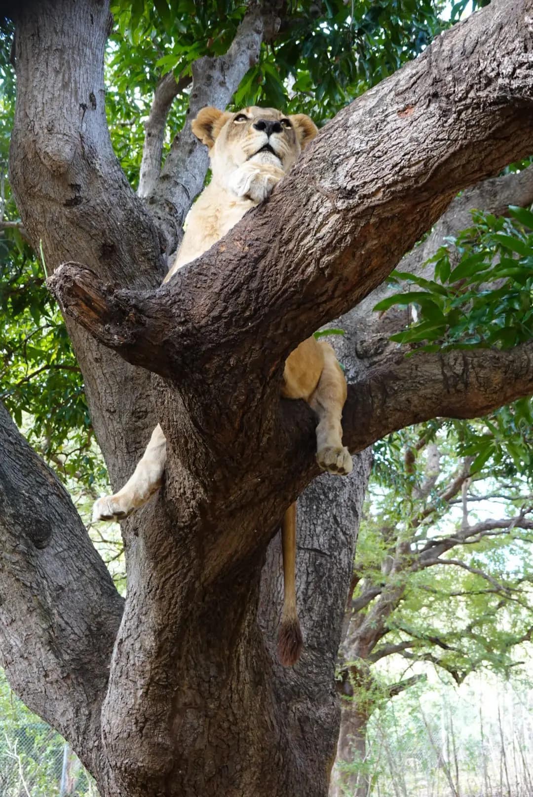 WhatsApp Image 2026-01-17 at 12.50.13 (4)