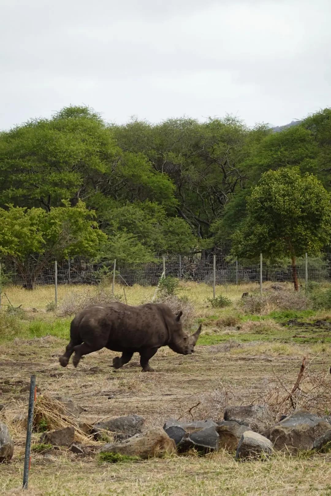 WhatsApp Image 2026-01-17 at 12.50.13 (7)