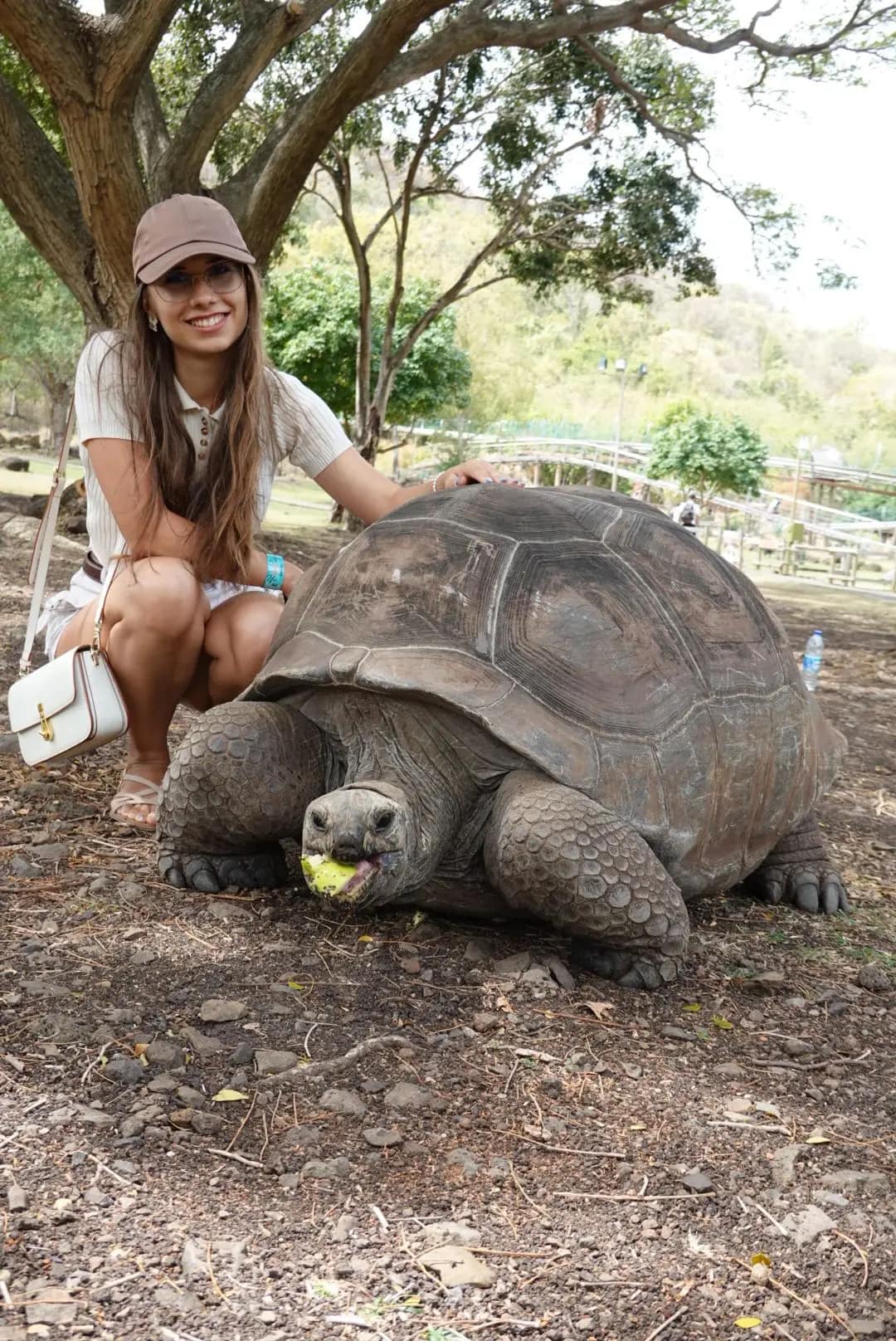 WhatsApp Image 2026-01-17 at 12.50.13 (8)