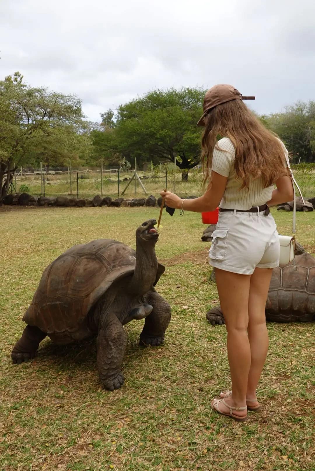 WhatsApp Image 2026-01-17 at 12.50.13 (9)