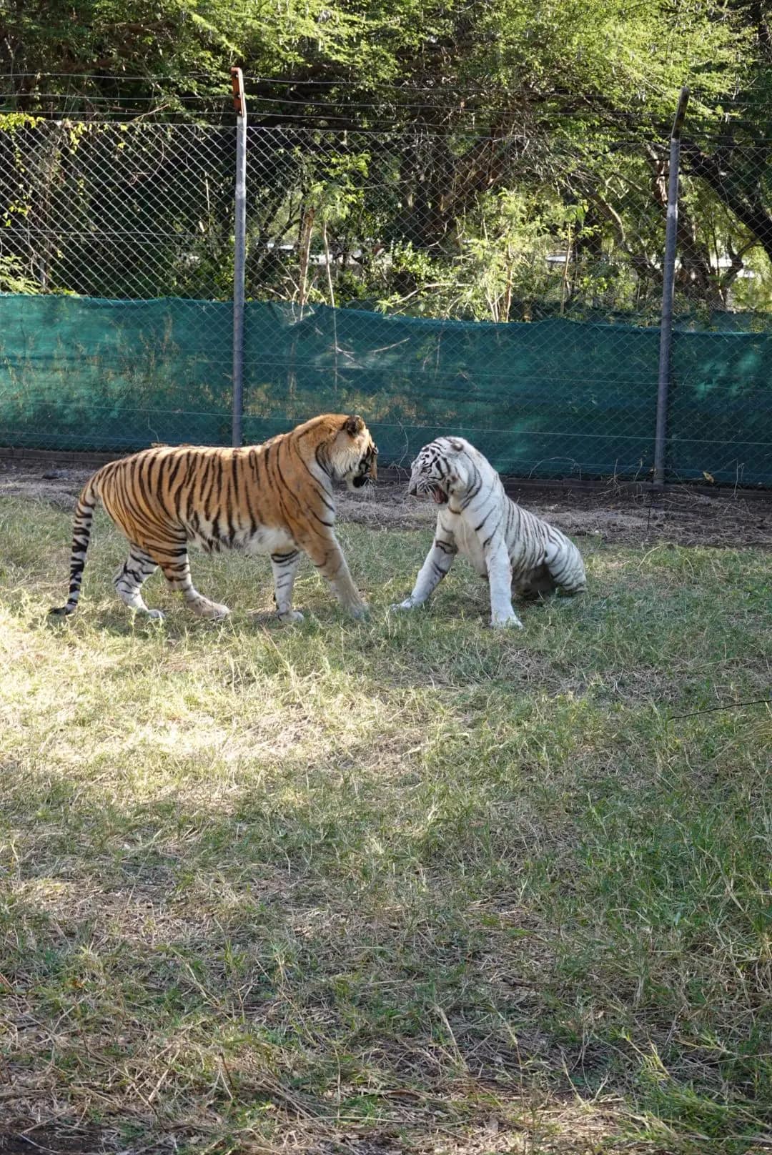 WhatsApp Image 2026-01-17 at 12.50.13