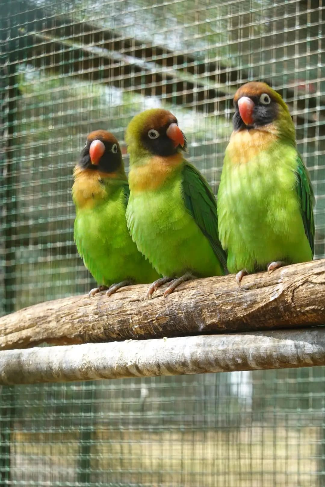 WhatsApp Image 2026-01-17 at 12.50.14 (1)