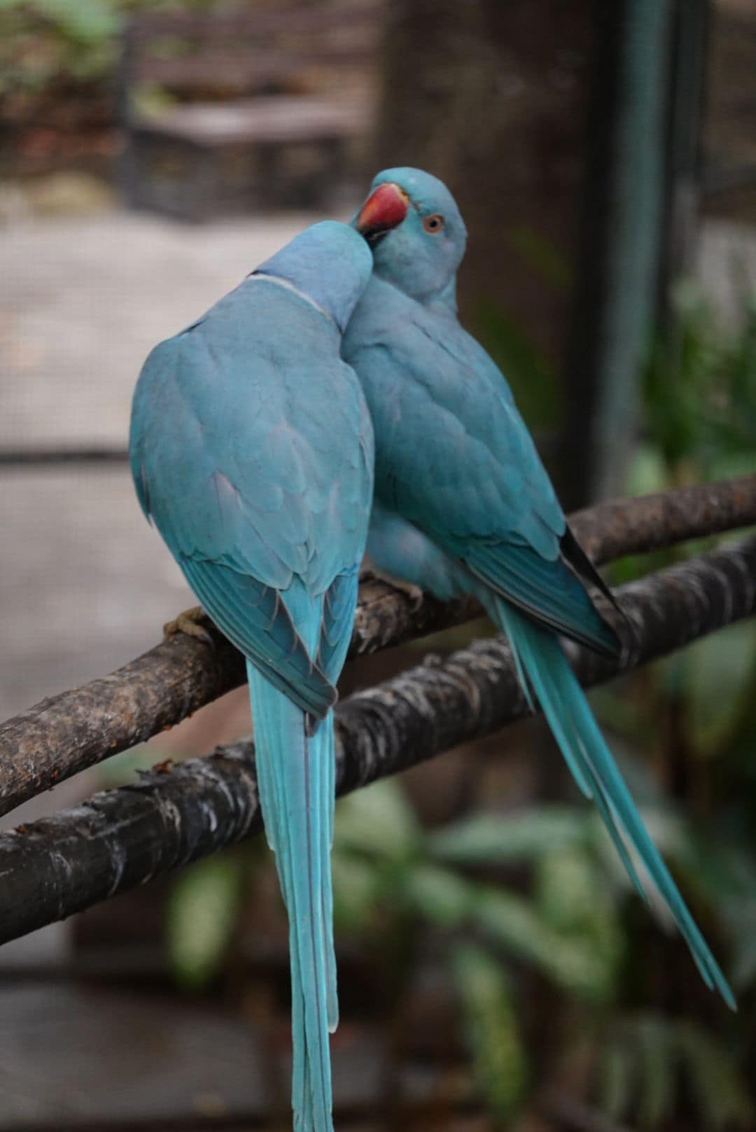 WhatsApp Image 2026-01-17 at 12.50.14 (2)