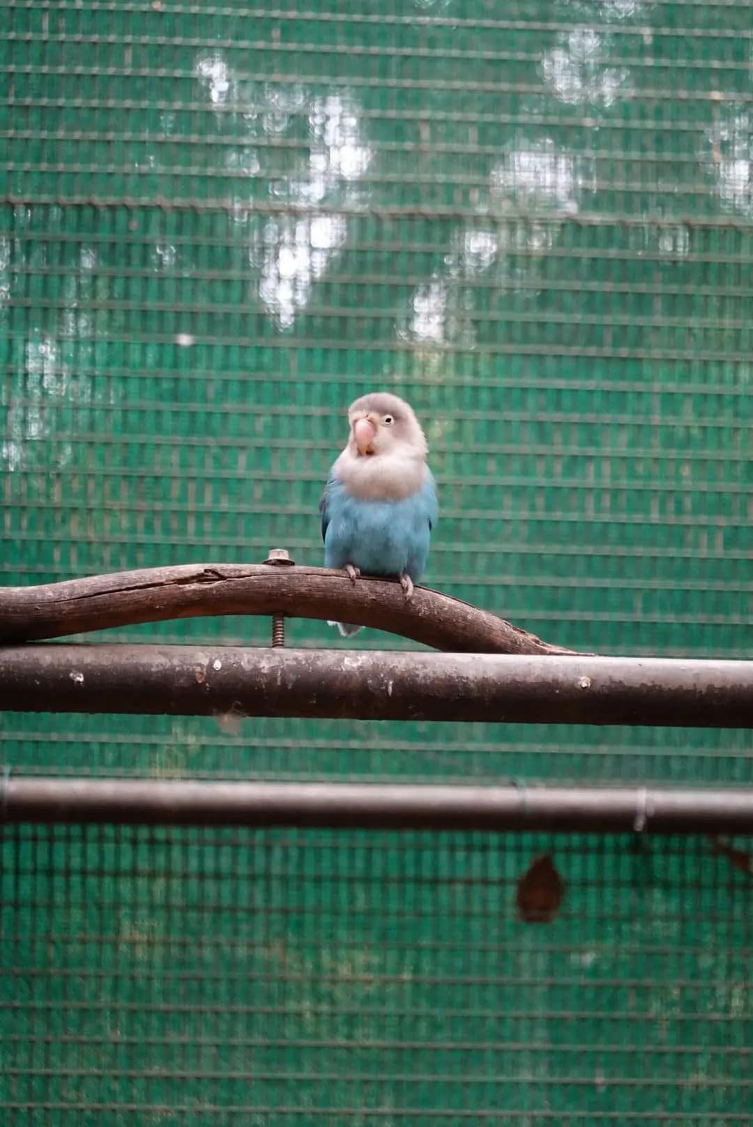 WhatsApp Image 2026-01-17 at 12.50.14 (3)