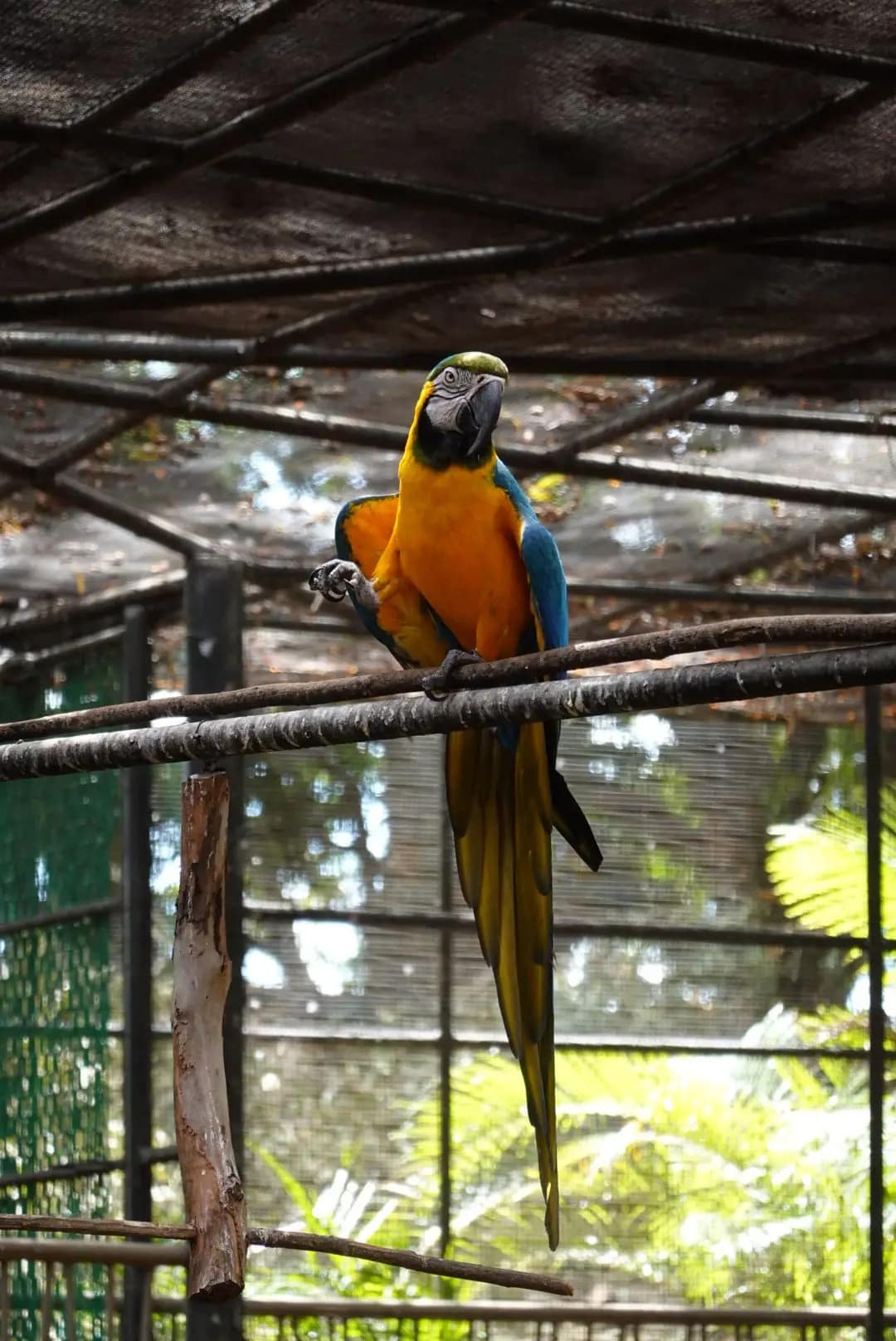 WhatsApp Image 2026-01-17 at 12.50.14 (4)