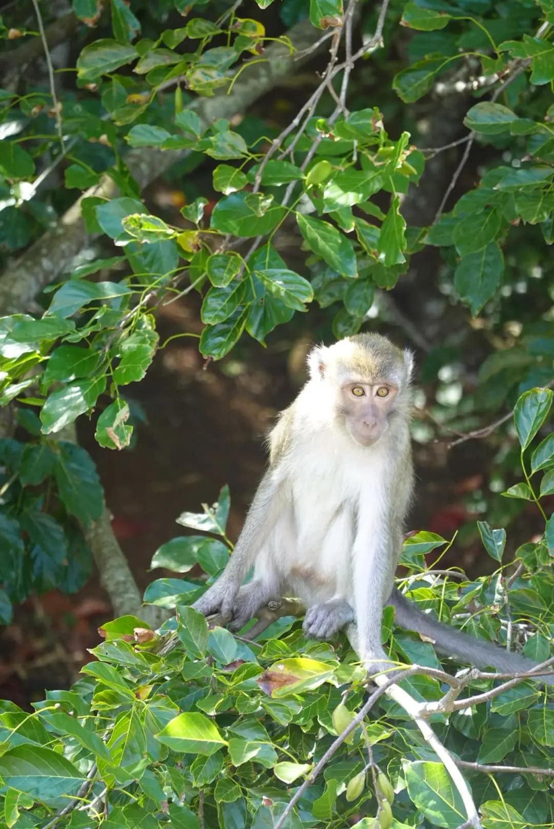 WhatsApp Image 2026-01-17 at 12.57.23