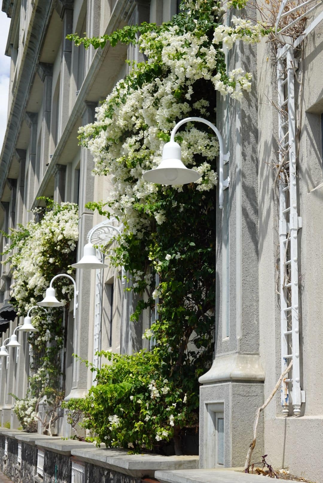 WhatsApp Image 2026-01-17 at 13.01.39 (3)