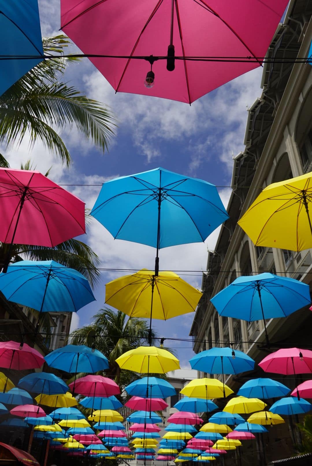 WhatsApp Image 2026-01-17 at 13.01.39