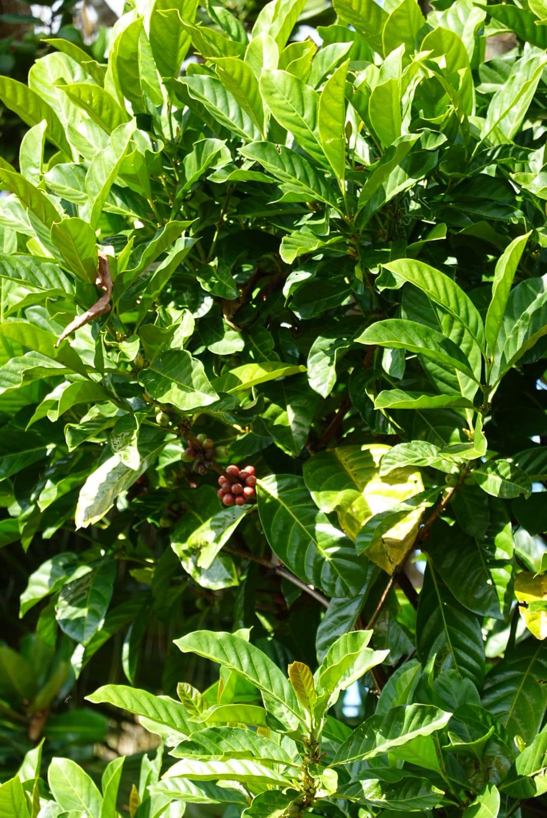 WhatsApp Image 2026-01-20 at 18.37.11 (2)