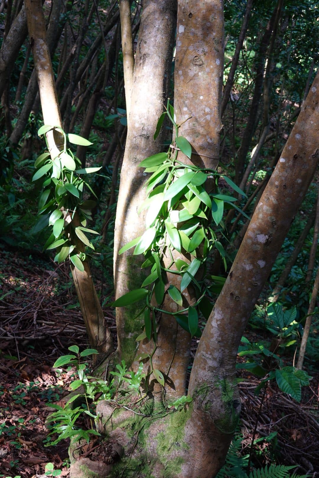 WhatsApp Image 2026-01-20 at 18.37.11 (5)