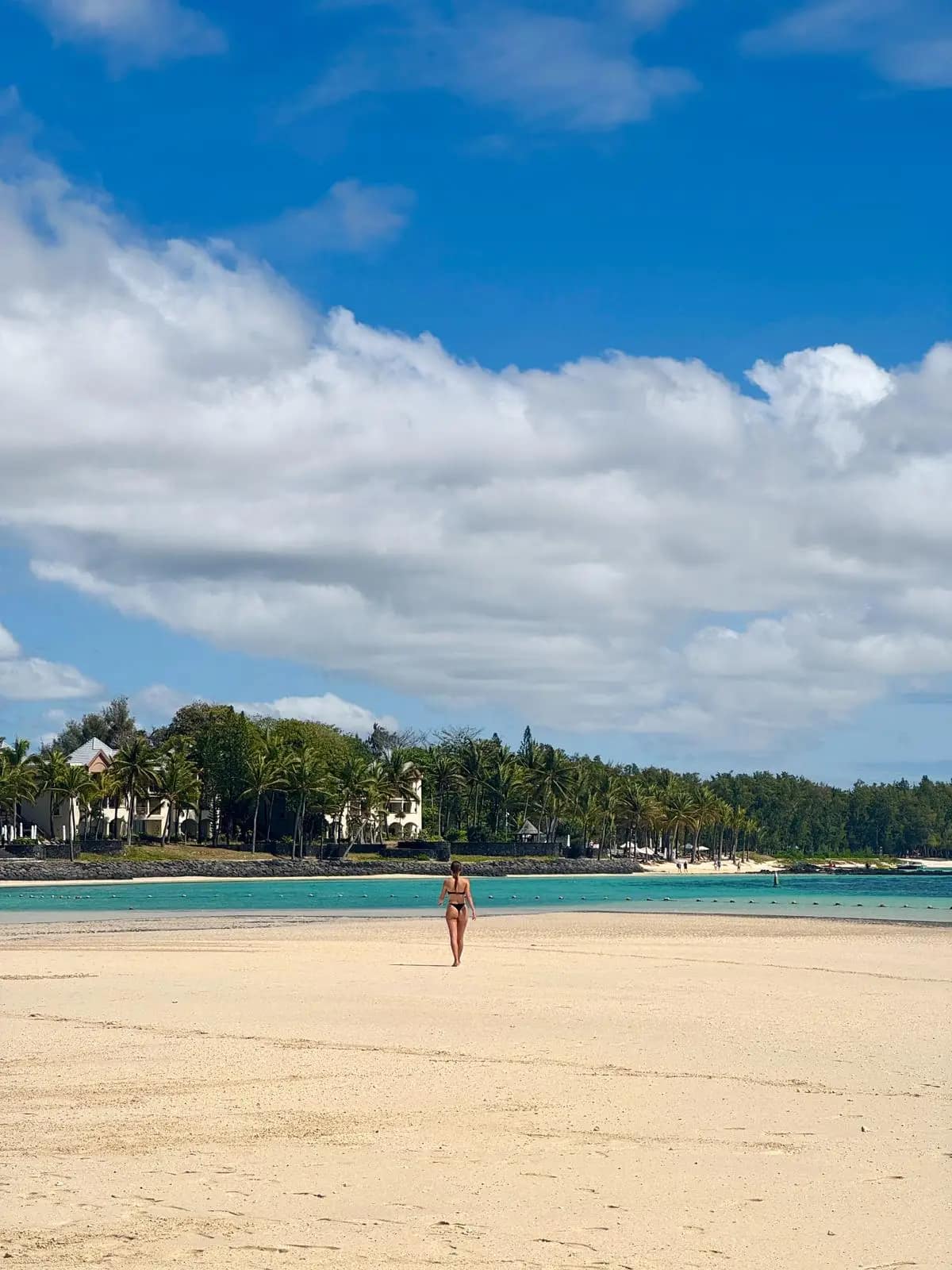 WhatsApp Image 2026-01-15 at 13.48.55