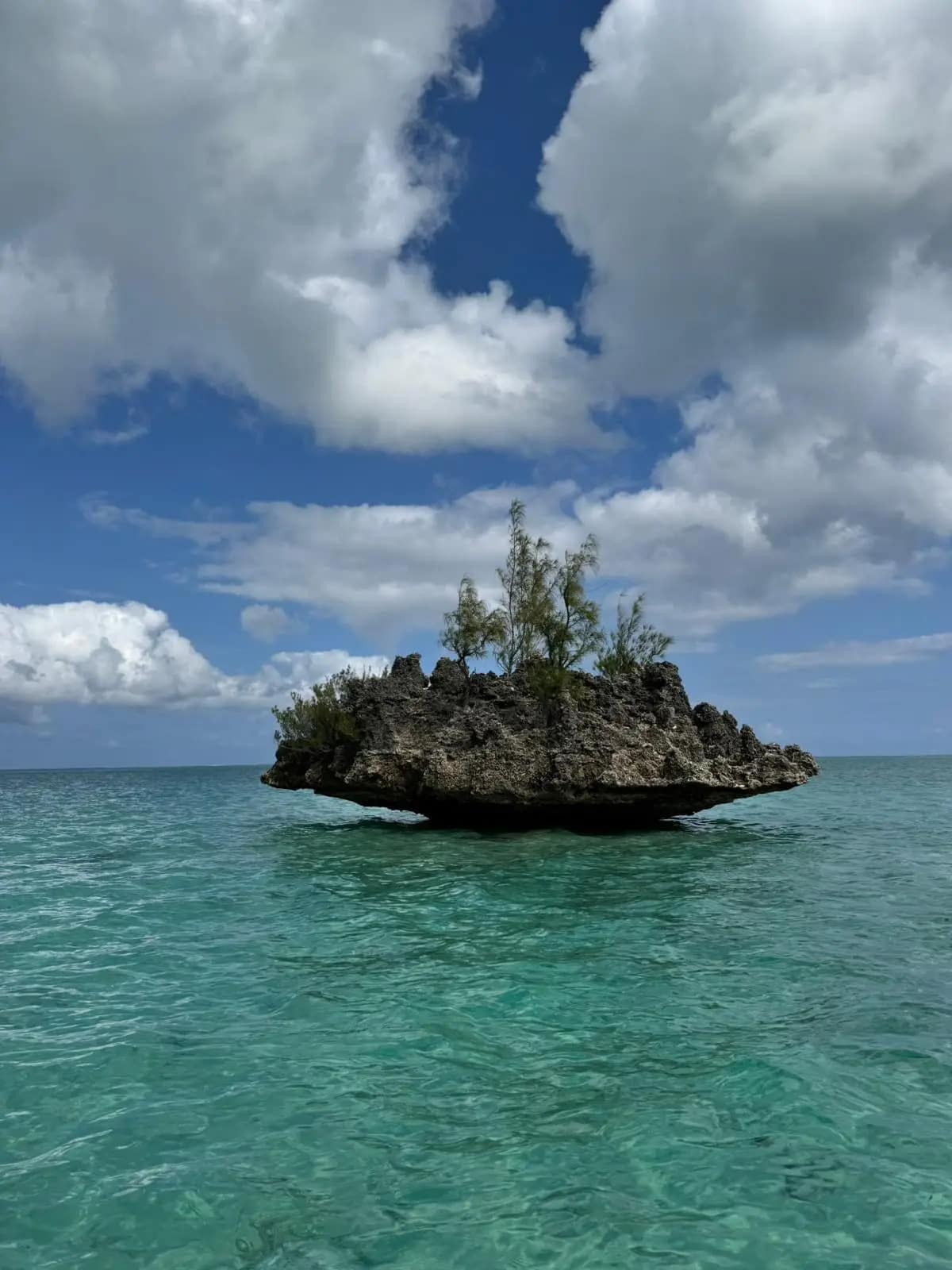 WhatsApp Image 2026-01-15 at 19.47.31