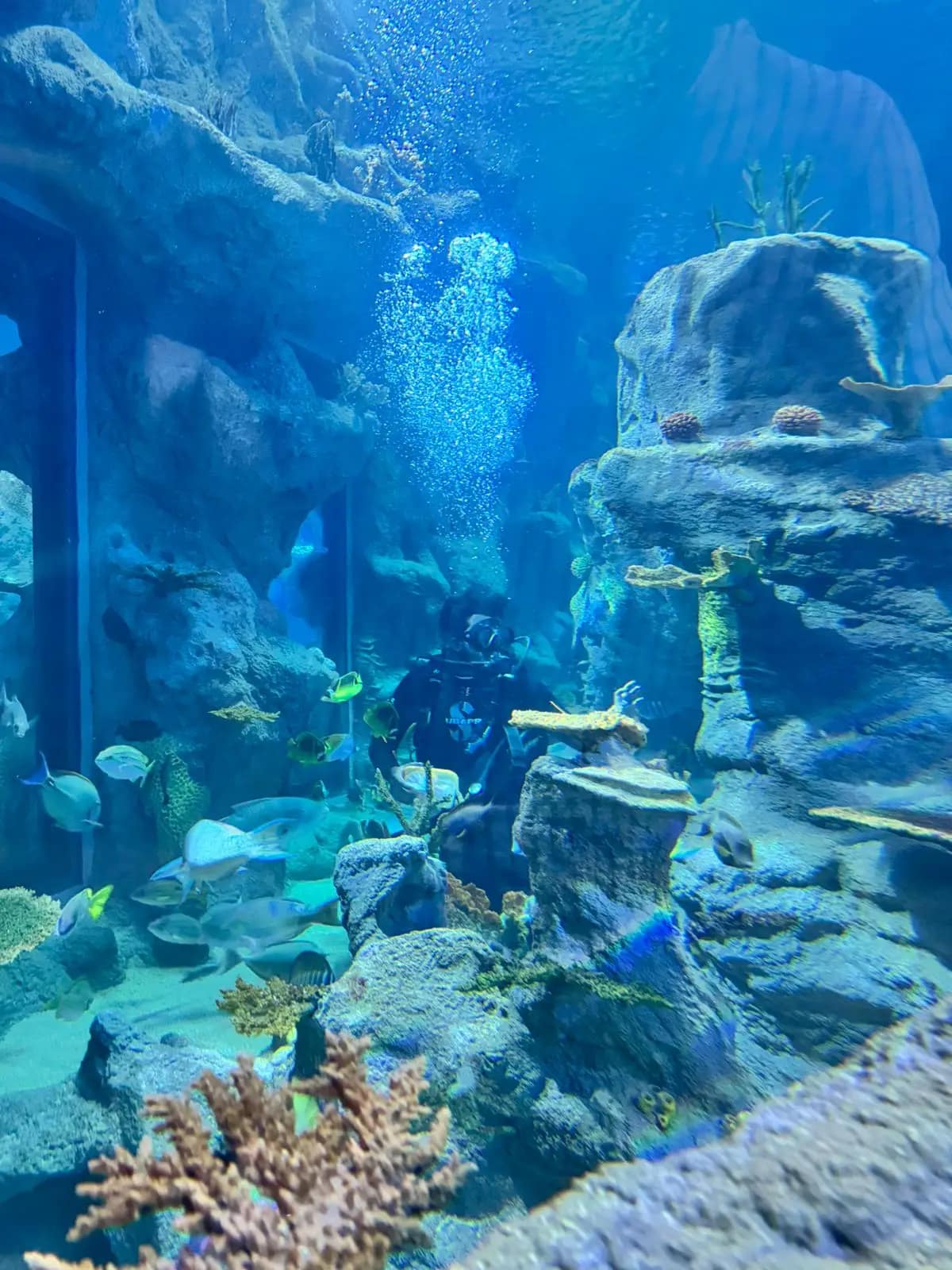 WhatsApp Image 2026-01-17 at 13.01.40