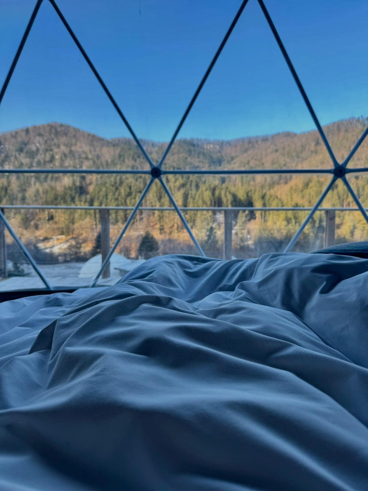 WhatsApp Image 2026-03-01 at 15.18.40