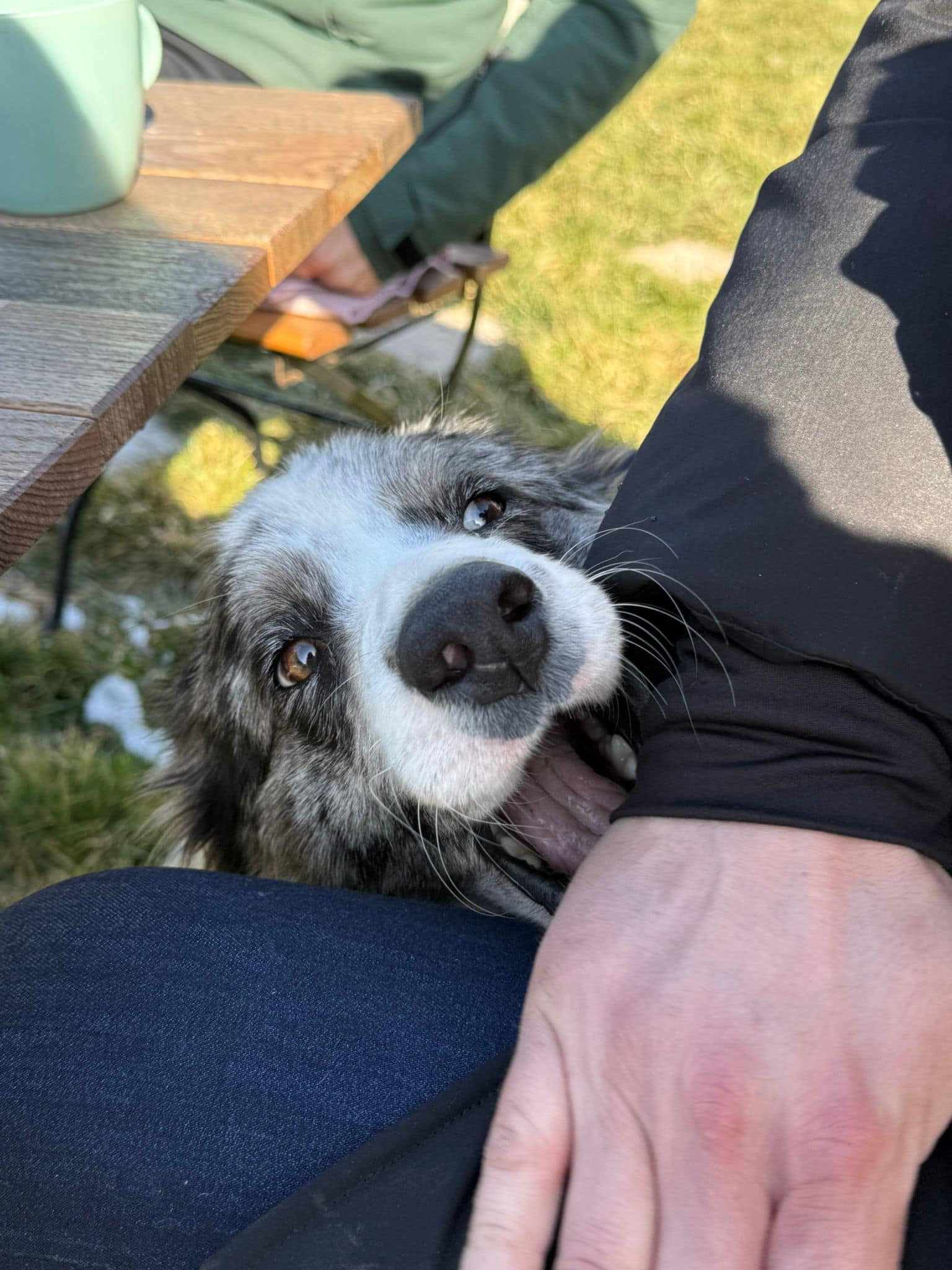 WhatsApp Image 2026-03-01 at 15.05.54