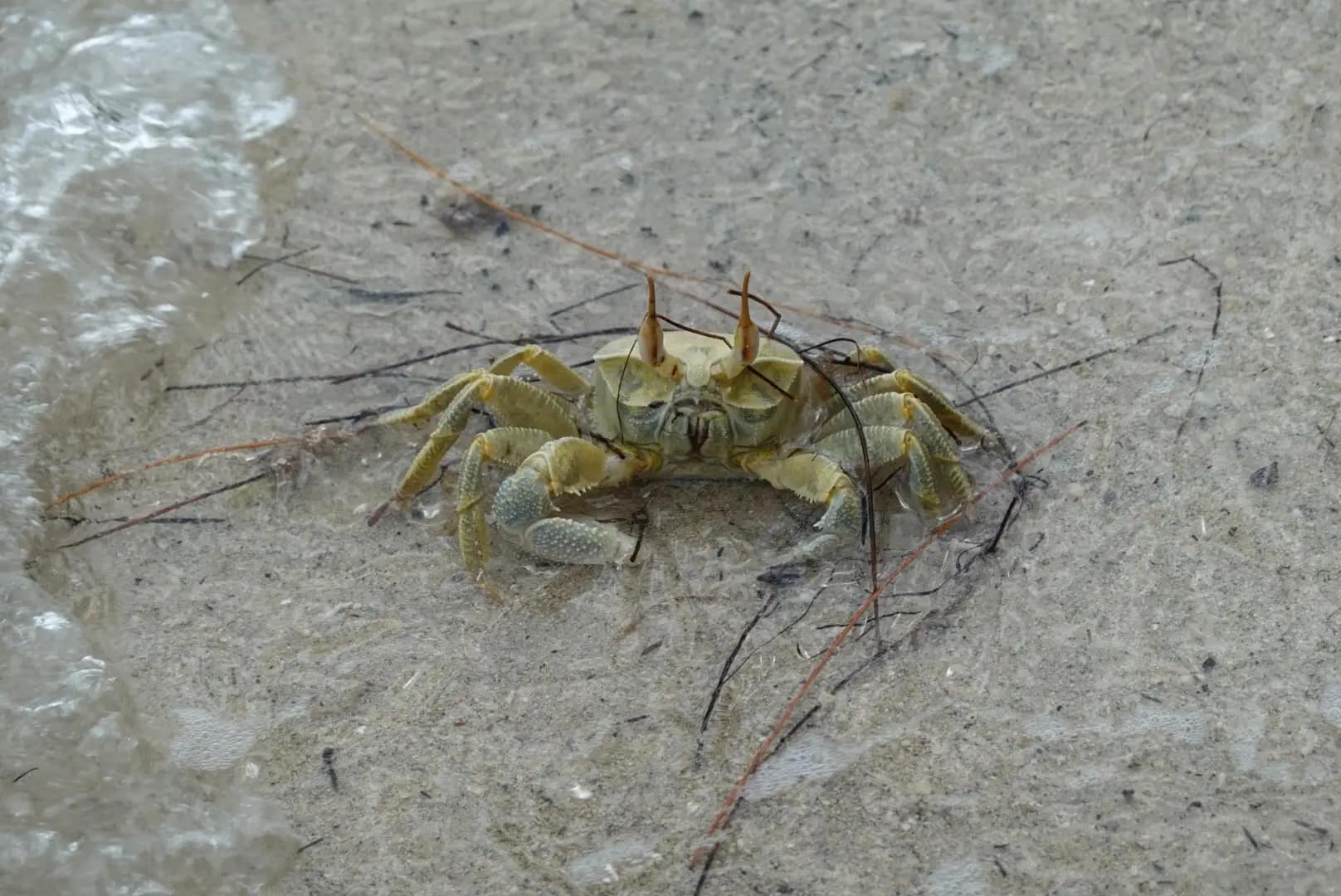 WhatsApp Image 2026-01-15 at 19.47.34 (2)