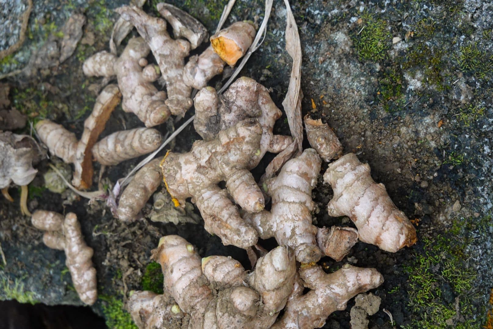 WhatsApp Image 2026-01-17 at 12.38.10 (1)