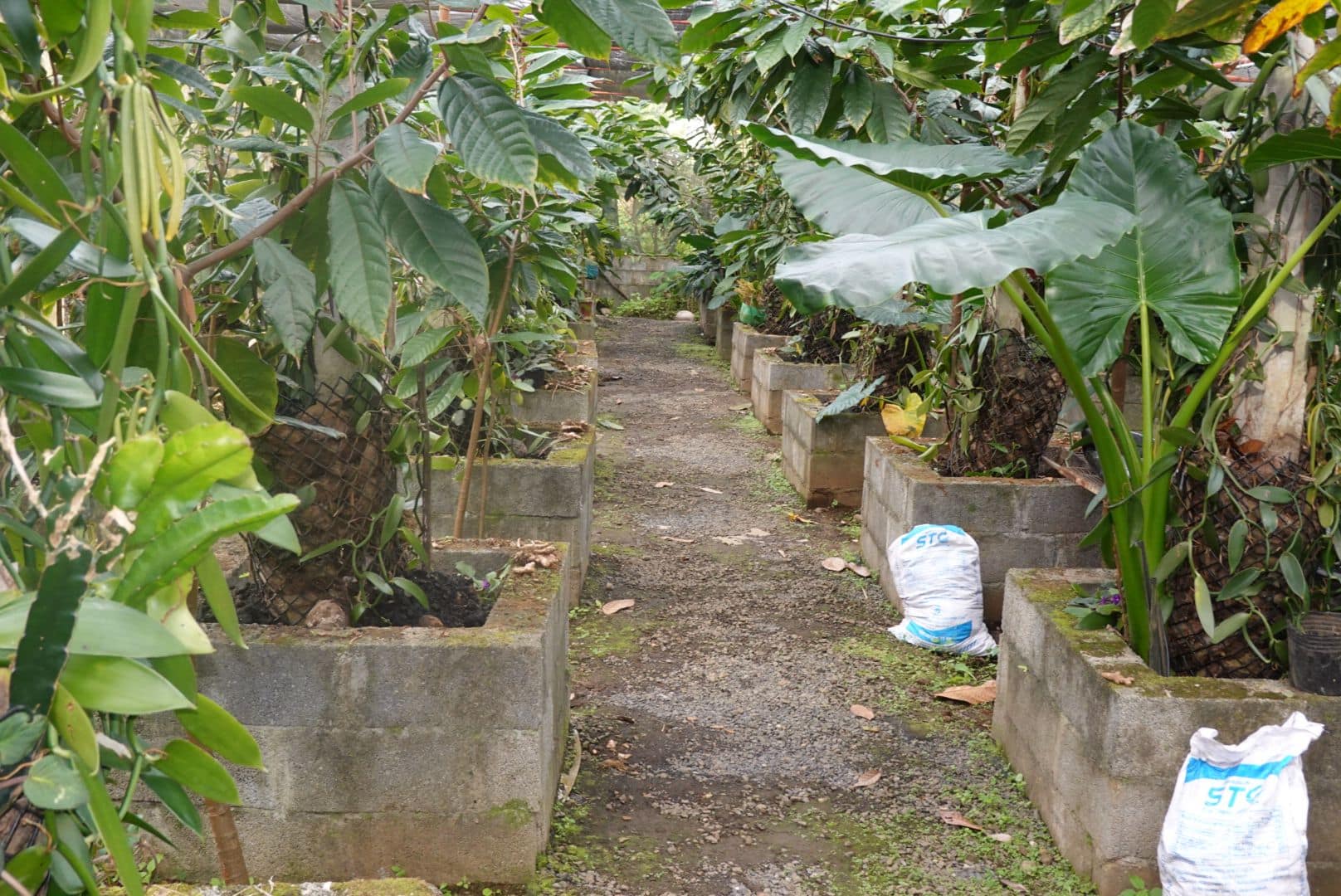 WhatsApp Image 2026-01-17 at 12.38.10 (3)