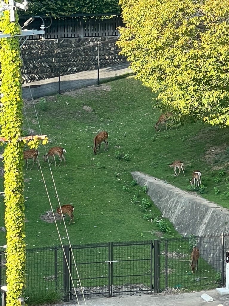 WhatsApp Image 2025-08-05 at 23.13.48 (25)