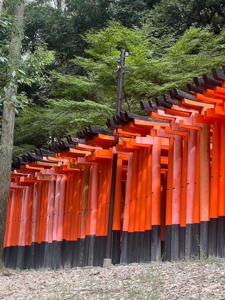 WhatsApp Image 2025-11-08 at 19.21.20 (4)